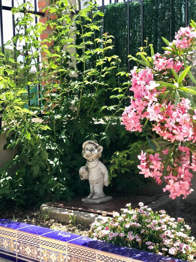 Casa Rural Alaejos ภายนอก รูปภาพ
